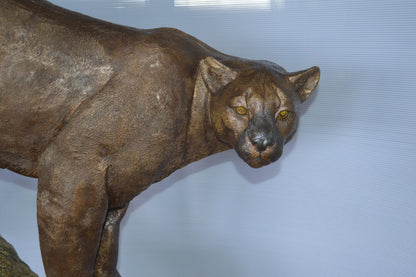 Mountain Lion Bronze Statue -  Size: 73"L x 41"W x 65"H.