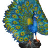 Colorful Peacock Bronze Statue -  Size: 24"L x 39"W x 35"H.