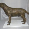 Labrador Retriever Bronze Statue -  Size: 12"L x 50"W x 31"H.