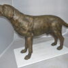 Labrador Retriever Bronze Statue -  Size: 12"L x 50"W x 31"H.