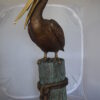 Pelican on a Stump Bronze Statue -  Size: 14"L x 38"W x 58"H.