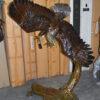 Eagle Flying To The Right Bronze Statue  -  Size: 22"L x 63"W x 67"H.