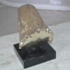 Eagle head Silver Finish - Bronze Statue -  Size: 10"L x 6"W x 8.5"H.