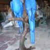 Pair of Blue Parrots on a tree - Bronze Statue -  Size: 43"L x 28"W x 67"H.