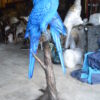 Pair of Blue Parrots on a tree - Bronze Statue -  Size: 43"L x 28"W x 67"H.