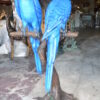 Pair of Blue Parrots on a tree - Bronze Statue -  Size: 43"L x 28"W x 67"H.