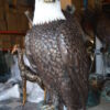 Large Eagle on a branch Bronze Statue -  Size: 29"L x 29"W x 74"H.