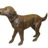 Golden retriever dog standing - Bronze Statue -  Size: 44"L x 10"W x 27"H.