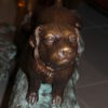 Kid with dog walking on a log Bronze Statue -  Size: 57"L x 18"W x 41"H.