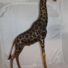 Pair of Giraffes Bronze Statues -  Size: 32"L x 12"W x 55"H.