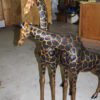 Pair of Giraffes Bronze Statues -  Size: 32"L x 12"W x 55"H.