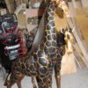 Pair of Giraffes Bronze Statues -  Size: 32"L x 12"W x 55"H.