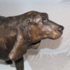 Hound dog Bronze Statue -  Size: 38"L x 12"W x 26"H.