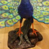 Colorful Peacock Bronze Statue -  Size: 24"L x 39"W x 35"H.