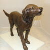 Golden retriever dog standing - Bronze Statue -  Size: 44"L x 10"W x 27"H.