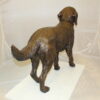 Golden retriever dog standing - Bronze Statue -  Size: 44"L x 10"W x 27"H.