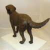 Golden retriever dog standing - Bronze Statue -  Size: 44"L x 10"W x 27"H.