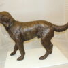 Golden retriever dog standing - Bronze Statue -  Size: 44"L x 10"W x 27"H.