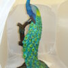 Peacock on Tree Bronze Statue -  Size: 31"L x 30"W x 64"H.