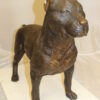 Pit Bull Dog Bronze Statue -  Size: 33"L x 11"W x 26"H.