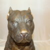 Pit Bull Dog Bronze Statue -  Size: 33"L x 11"W x 26"H.