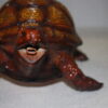 Bronze Turtle fountain -  Size: 14"L x 10"W x 6"H.