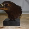 Eagle head - Bronze Statue -  Size: 10"L x 6"W x 8.5"H.