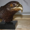 Eagle head - Bronze Statue -  Size: 10"L x 6"W x 8.5"H.