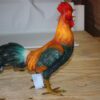 bronze statue of a standing Rooster -cockerel -  Size: 20"L x 7.5"W x 19.5"H.