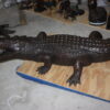 Alligator fountain - Bronze Statue -  Size: 77"L x 34"W x 18"H.