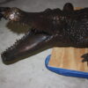 Alligator fountain - Bronze Statue -  Size: 77"L x 34"W x 18"H.