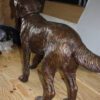 Golden retriever dog standing - Bronze Statue -  Size: 44"L x 10"W x 27"H.