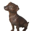 Jack Russel dog standing Bronze Statue -  Size: 10"L x 6"W x 14"H.