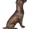 Jack Russel dog standing Bronze Statue -  Size: 10"L x 6"W x 14"H.