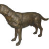 Labrador Retriever Bronze Statue -  Size: 12"L x 50"W x 31"H.