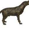 Labrador Retriever Bronze Statue -  Size: 12"L x 50"W x 31"H.