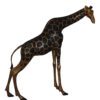 Pair of Giraffes Bronze Statues -  Size: 32"L x 12"W x 55"H.