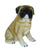 Pug Dog Bronze Statue -  Size: 12"L x 6"W x 11"H.