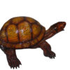 Bronze Turtle fountain -  Size: 14"L x 10"W x 6"H.