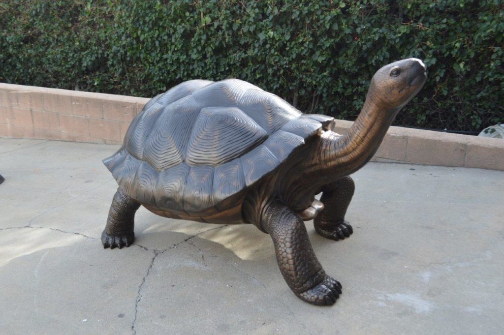 Giant Tortoise - Turtle bronze statue - Size: 64