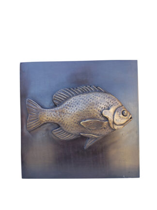 Single Fish made of Bronze Wall decor Size: 10" x 10" x 1"H